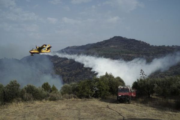 Φωτιές – Ολονύχτια «μάχη» σε Γορτυνία – Μάνη – Σε κατάσταση έκτακτης ανάγκης περιοχές σε 5 δήμους της Περιφέρειας Πελοποννήσου