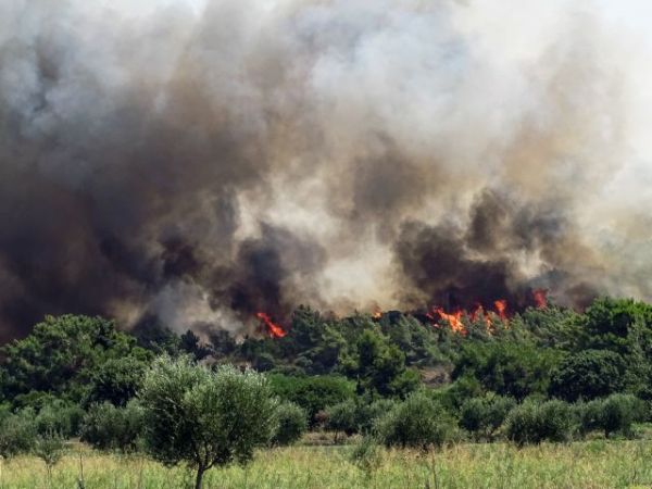Ρόδος – Σε ύφεση η φωτιά – Φόβοι από τις αναζωπυρώσεις