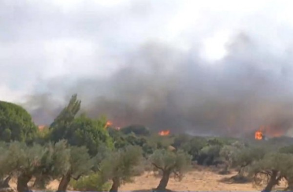 Κάρυστος – Μεγάλη αναζωπύρωση στον Οικοδομικό Συνεταιρισμό των Ιατρών