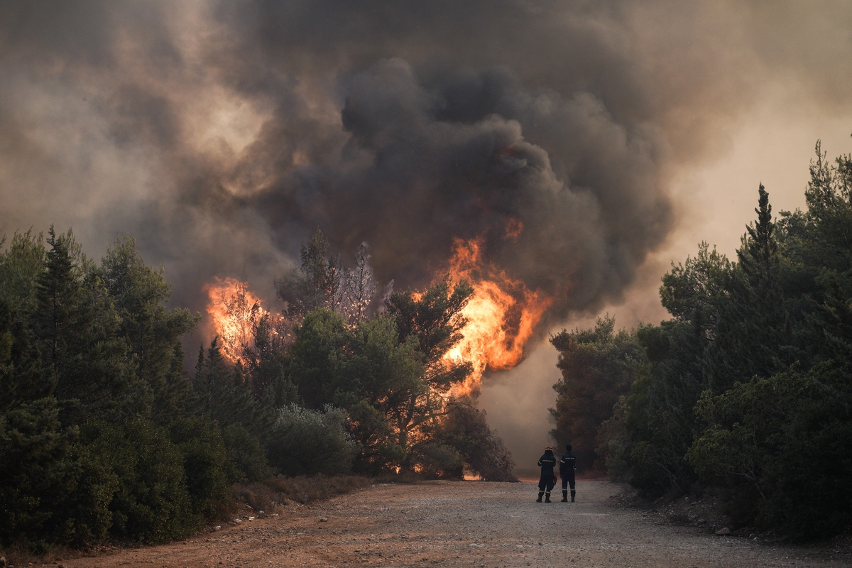 Φωτιές - 39 δασικές πυρκαγιές εκδηλώθηκαν το τελευταίο 24ωρο σε όλη την Ελλάδα