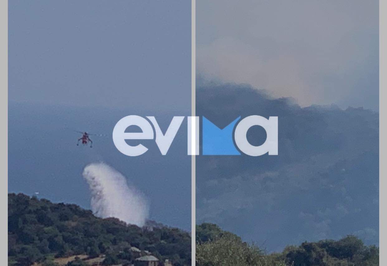 Εύβοια - Υπό έλεγχο η φωτιά στις Πετριές - Παραμένουν ισχυρές δυνάμεις στην περιοχή
