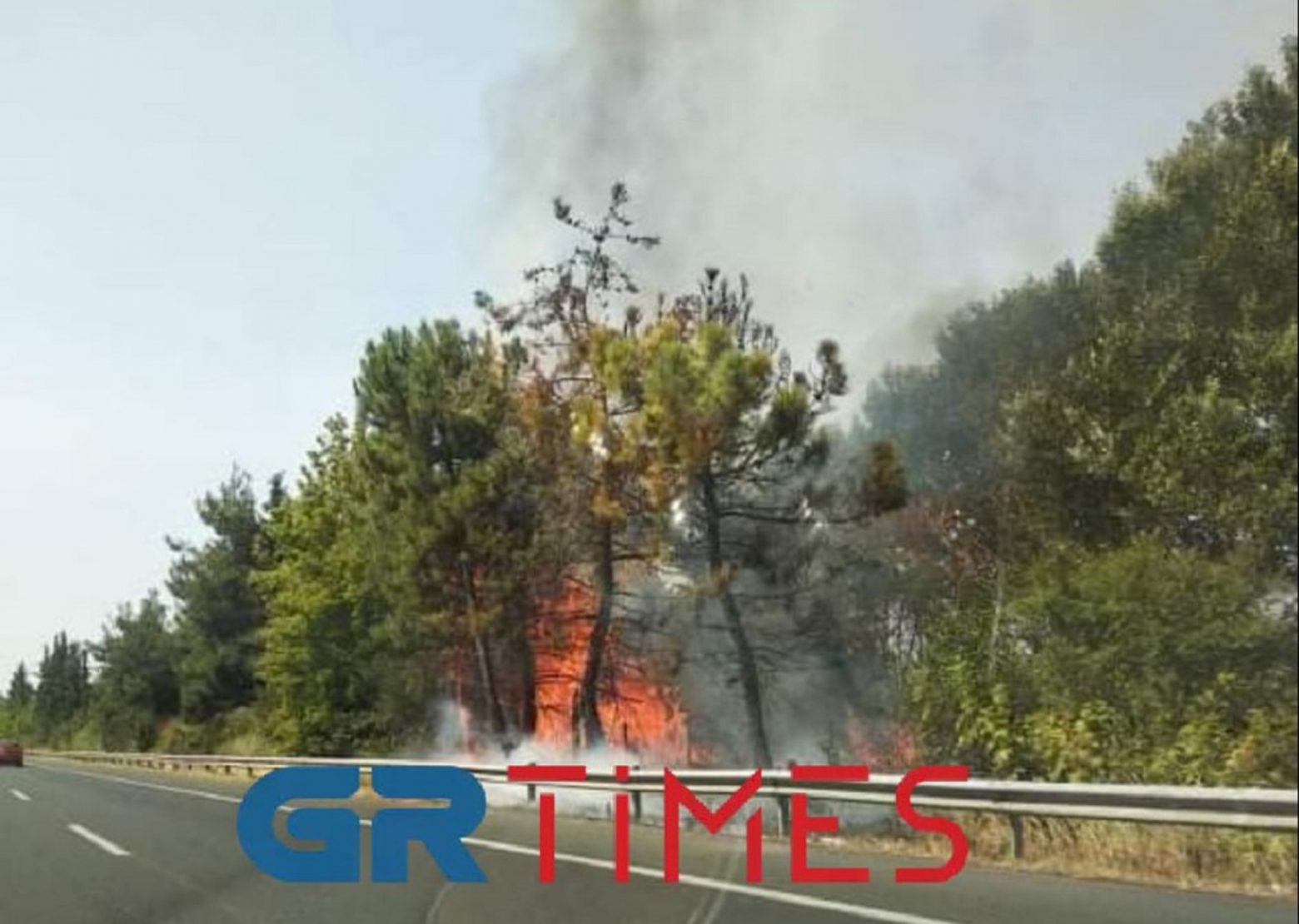 Φωτιά - Φλόγες δίπλα στην εθνική οδό Αθήνας - Θεσσαλονίκης