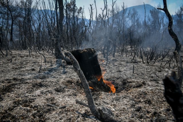Τριάντα τέσσερις δασικές πυρκαγιές το τελευταίο 24ωρο
