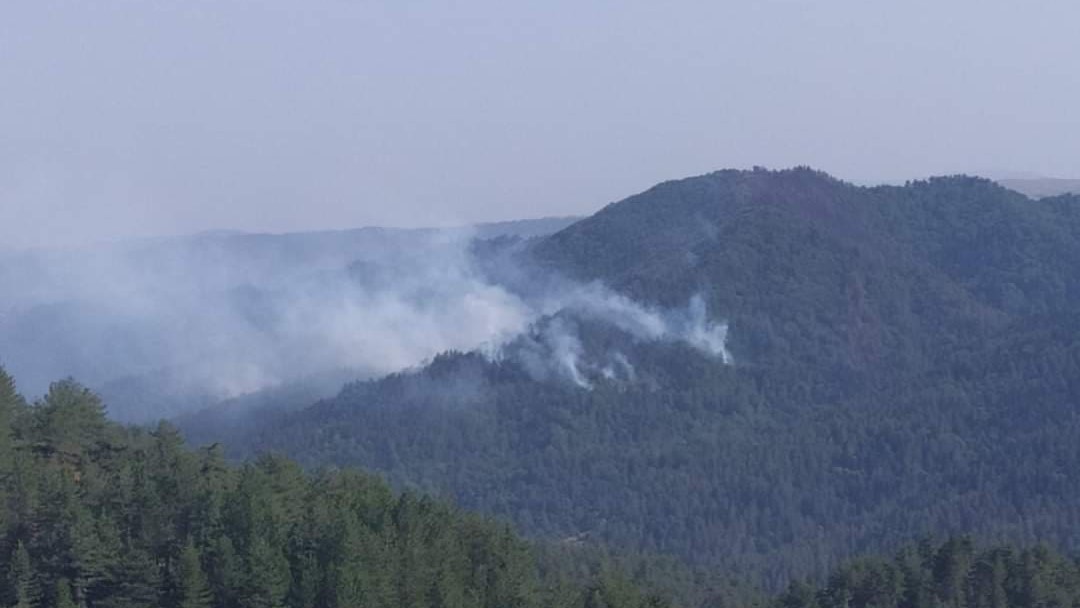 Ανεξέλεγκτη η φωτιά στη Φωκίδα - Στα 6 χλμ. το μέτωπο στα χωριά Ελαία και Καλλιθέα που εκκενώθηκαν