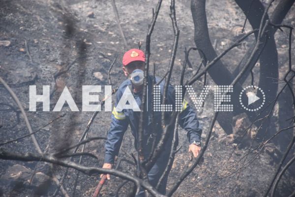 Φωτιές στην Ηλεία – Εστίες σε Πύργο και Αρχαία Ολυμπία