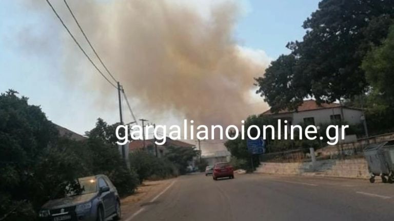 Μεσσηνία – Φωτιά στις Βουφράδες – Κοντά στο χωριό Καζάρμα