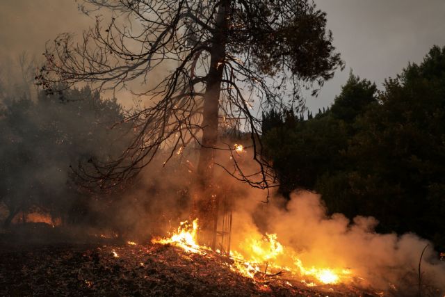 Φωτιά στα Βίλια - Προς Ψάθα και Άγιο Γεώργιο κινείται το μέτωπο