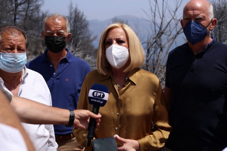 Γεννηματά – Νέα «καρφιά» για τον Μητσοτάκη – «Επιχειρεί να δικαιολογήσει τα αδικαιολόγητα»