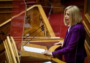 Επίθεση Γεννηματά στην κυβέρνηση – «Η καταστροφή από τις πυρκαγιές είναι πρωτοφανής»