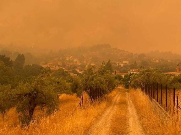 Φωτιά στην Εύβοια – Μάχη με τις φλόγες δίνουν οι κάτοικοι στη Γερακιού