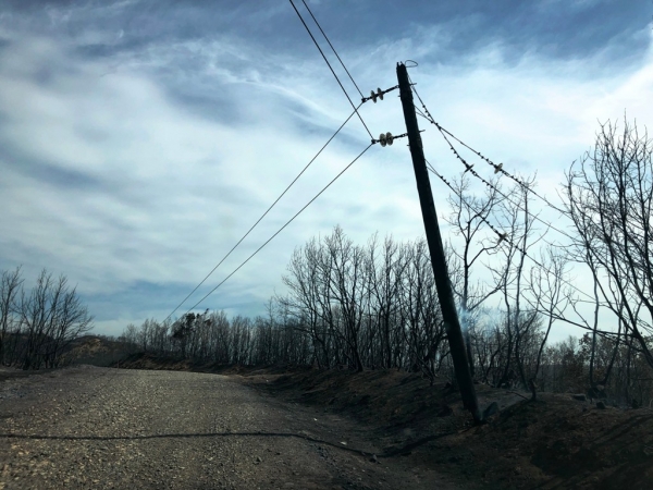 Γρεβενά – Σε ύφεση η πυρκαγιά – Άρση εκκένωσης των πέντε οικισμών