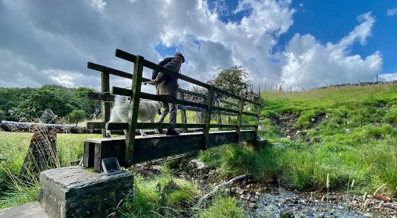 Η πιο εύκολη άσκηση που κάνει θαύματα στην καρδιά, την πέψη και τον εγκέφαλο