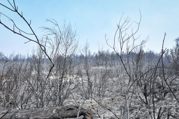Πέτσας – Οι πυρόπληκτες περιοχές θα στηριχτούν άμεσα – Έργα ύψους 98,1 εκατομμυρίων ευρώ στο «Αντώνης Τρίτσης»