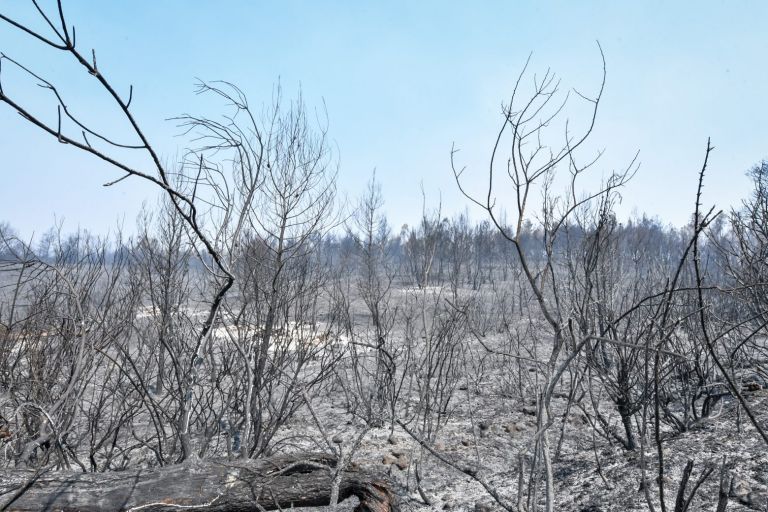 Πέτσας – Οι πυρόπληκτες περιοχές θα στηριχτούν άμεσα – Έργα ύψους 98,1 εκατομμυρίων ευρώ στο «Αντώνης Τρίτσης»