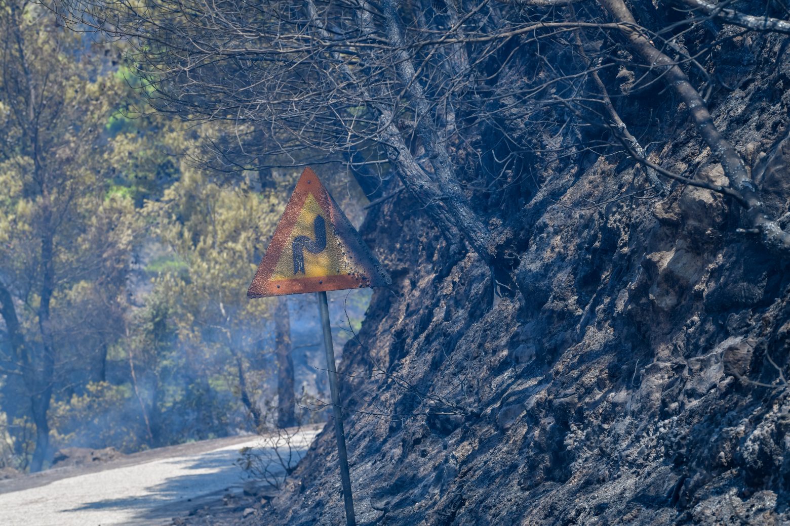 Πυρκαγιές - Ξεκίνησε η καταγραφή ζημιών στις πυρόπληκτες περιοχές από την Περιφέρεια Πελοποννήσου
