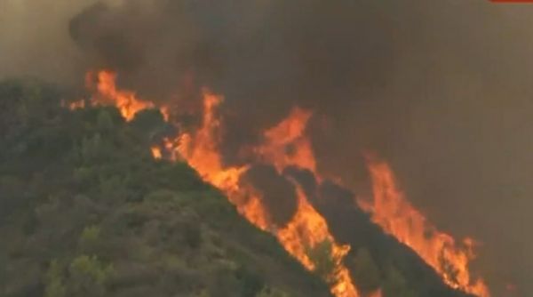 Φωτιές – Σε εξέλιξη τέσσερα μεγάλα πύρινα μέτωπα στη χώρα – Η ενημέρωση της Πυροσβεστικής (+videos)