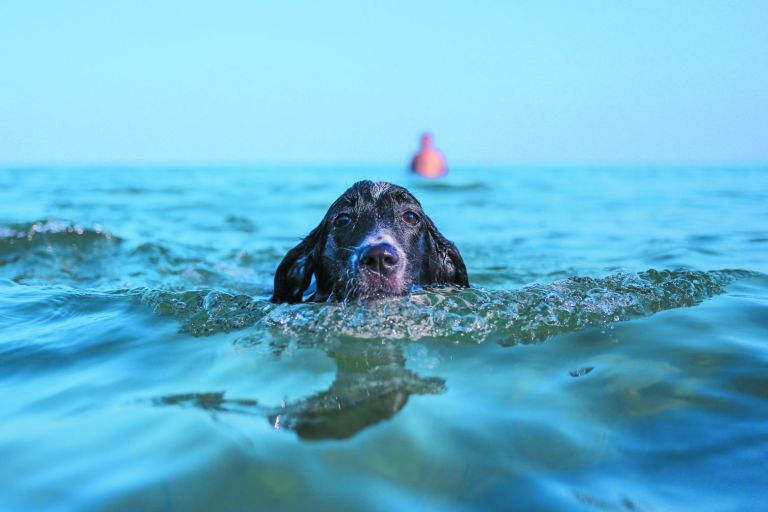 Η ζωή που δεν ξαναγίνεται