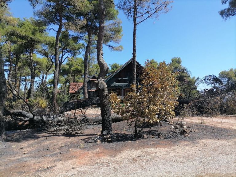 Φωτιά στην Αττική – Το in.gr στην Ιπποκράτειο Πολιτεία – Κρανίου τόπος