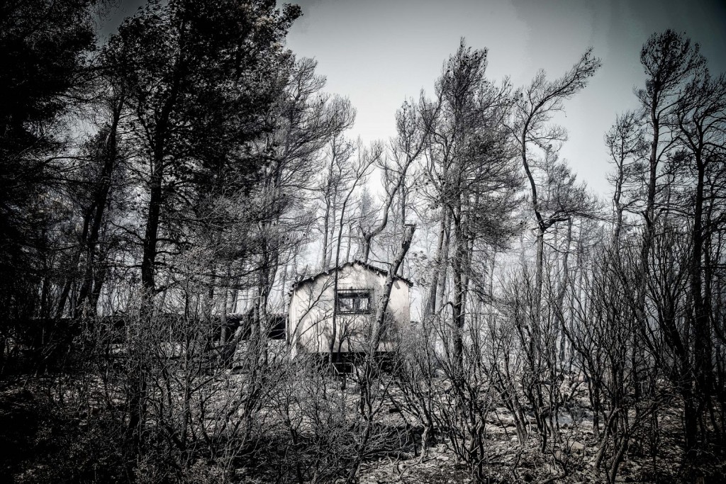 Σκρέκας – Οι τρεις προτεραιότητες της κυβέρνησης για τα αντιπλημμυρικά έργα μετά τις φωτιές