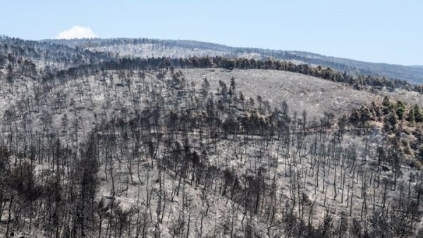 Σκέψεις για αμέσως μετά την καταστροφή