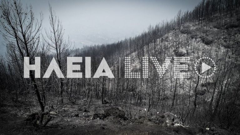 Φωτιά στην Ηλεία – Αναζωπύρωση στην περιοχή Βασιλάκι – Κρανίου τόπος η Νεμούτα