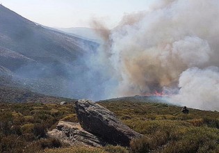 Εμπρησμό για τη φωτιά στην Κάρυστο «έδειξε» ο Γιάννης Οικονόμου
