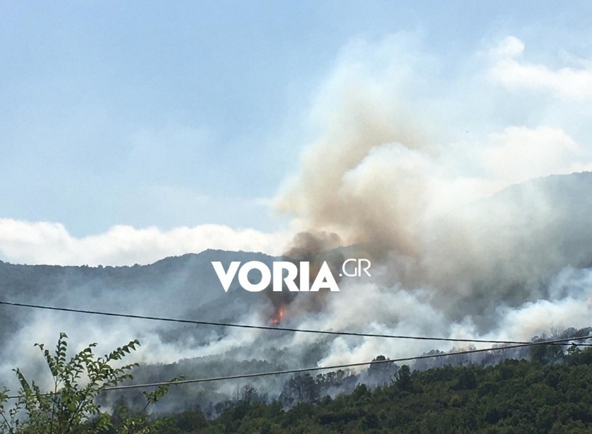 Καβάλα - Φωτιά στους πρόποδες του Παγγαίου Όρους - Κοντά στο χωριό Αντιφίλιπποι