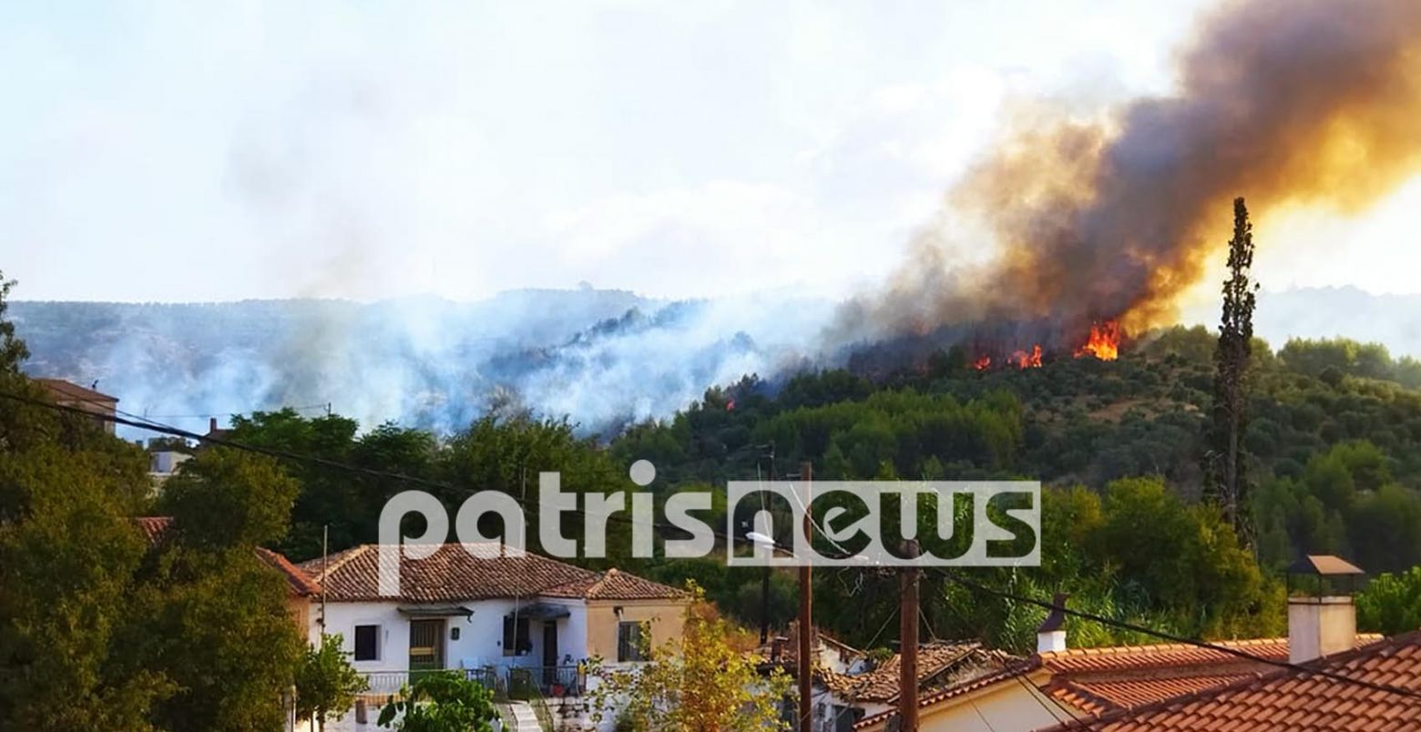 Φωτιά στην Ηλεία – Σοβαρές αναζωπυρώσεις σε δύο μέτωπα – Μια ανάσα από τα σπίτια οι φλόγες