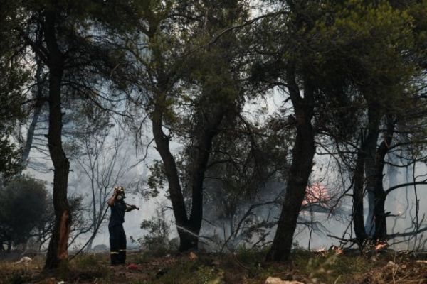 Φωτιά στην Αττική – Οι φλόγες μπήκαν στο Κρυονέρι – Καίγονται σπίτια