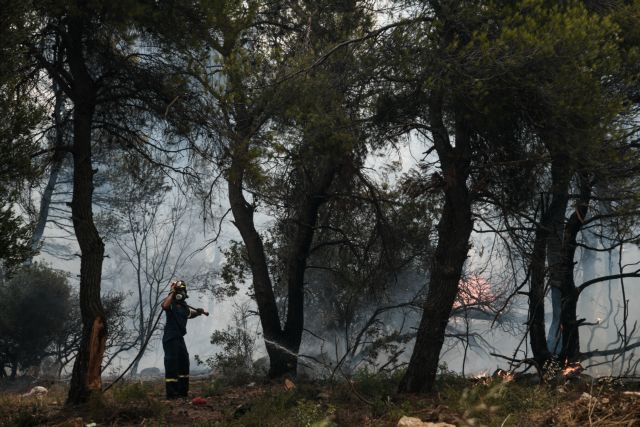 Φωτιά στην Αττική - Οι φλόγες μπήκαν στο Κρυονέρι - Καίγονται σπίτια