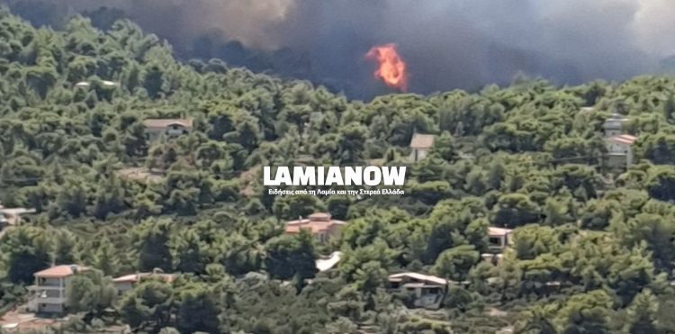 Φθιώτιδα - Μεγάλη φωτιά στο Θεολόγο - Κύκλωσε σπίτια, δόθηκε εντολή εκκένωσης