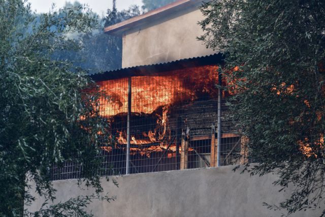 Φωτιές στην Εύβοια - Πενήντα τέσσερις γεννήτριες στέλνει η Περιφέρεια Κεντρικής Μακεδονίας