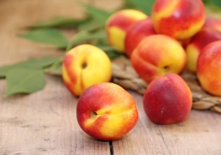 Εξαγωγές – Καλές τιμές στα πυρηνόκαρπα