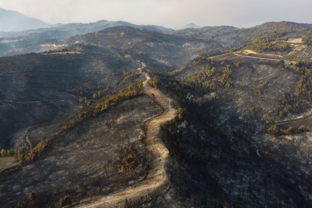 Φωτιές – Περισσότερα από ένα εκατ. στρέμματα κάηκαν μέσα σε δύο εβδομάδες στην Ελλάδα