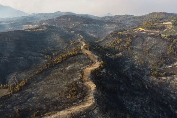 Φωτιές – Περισσότερα από ένα εκατ. στρέμματα κάηκαν μέσα σε δύο εβδομάδες στην Ελλάδα