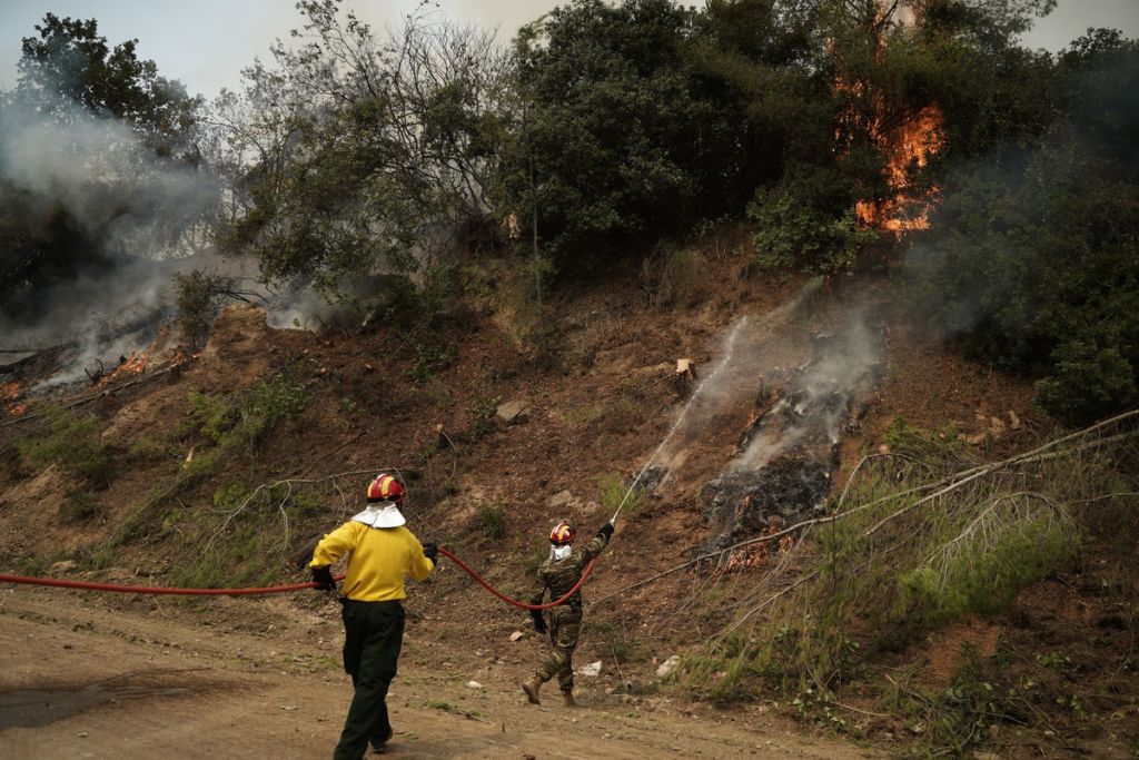 Εύβοια – Φωτιά σε δασική έκταση στην Πλατάνα – Επιχειρούν πυροσβεστικές δυνάμεις