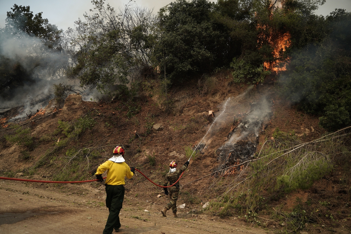 Εύβοια - Φωτιά σε δασική έκταση στην Πλατάνα - Επιχειρούν πυροσβεστικές δυνάμεις