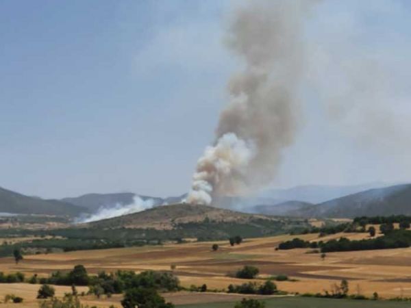 Κοζάνη – Φωτιά στην Οινόη