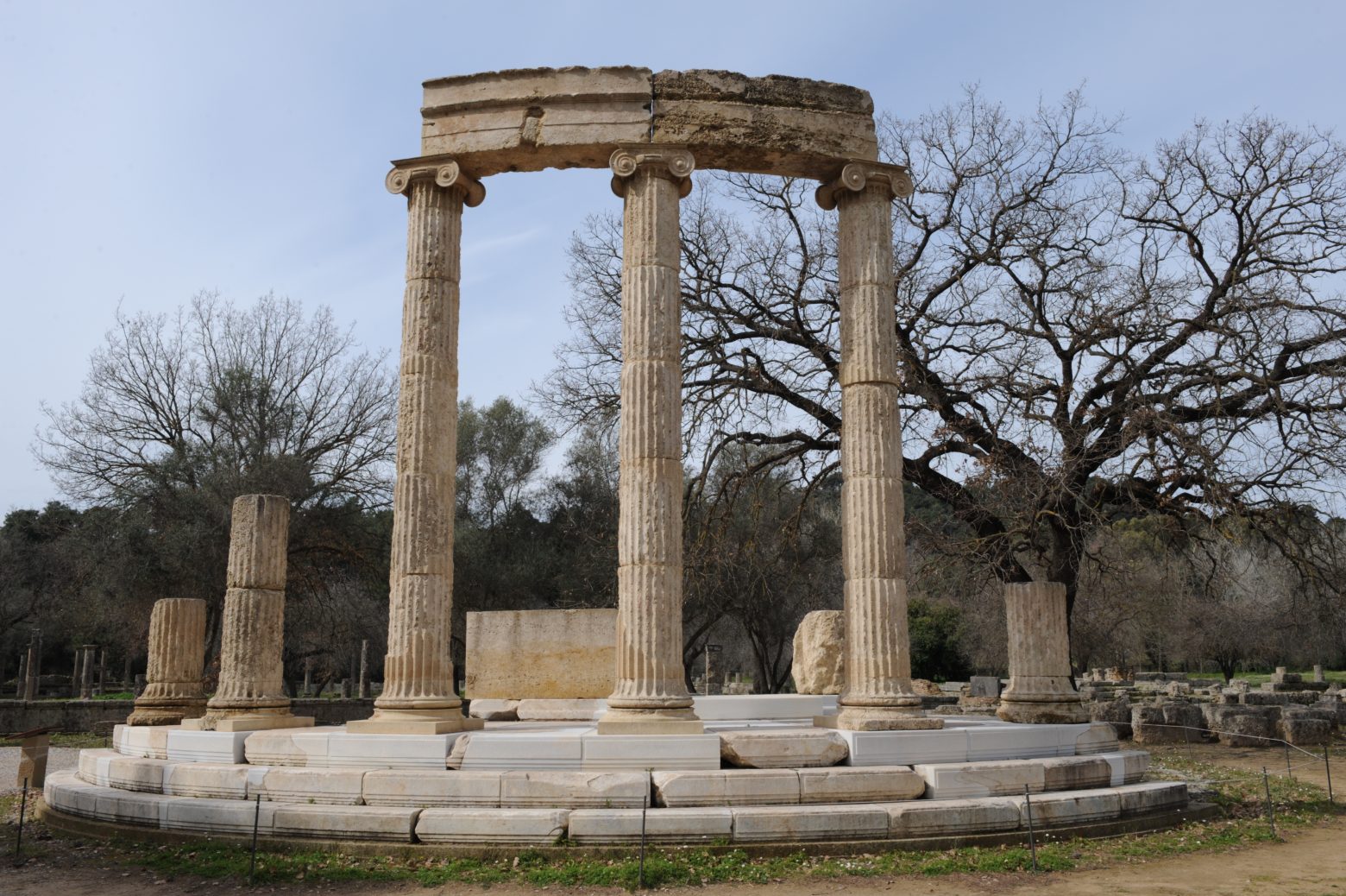 Δημήτρης Δασκαλόπουλος - Η αιώνια ομορφιά της Ολυμπίας