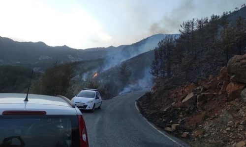 Κόνιτσα - Σε μέτωπο 7 χιλιομέτρων εκτείνεται η φωτιά