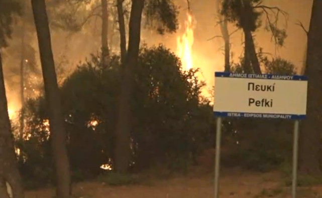 Φωτιά στην Εύβοια - Συνεχίζεται η μάχη με τις φλόγες - Οι κάτοικοι «κρατούν» το Πευκί - Κάηκαν σπίτια | in.gr