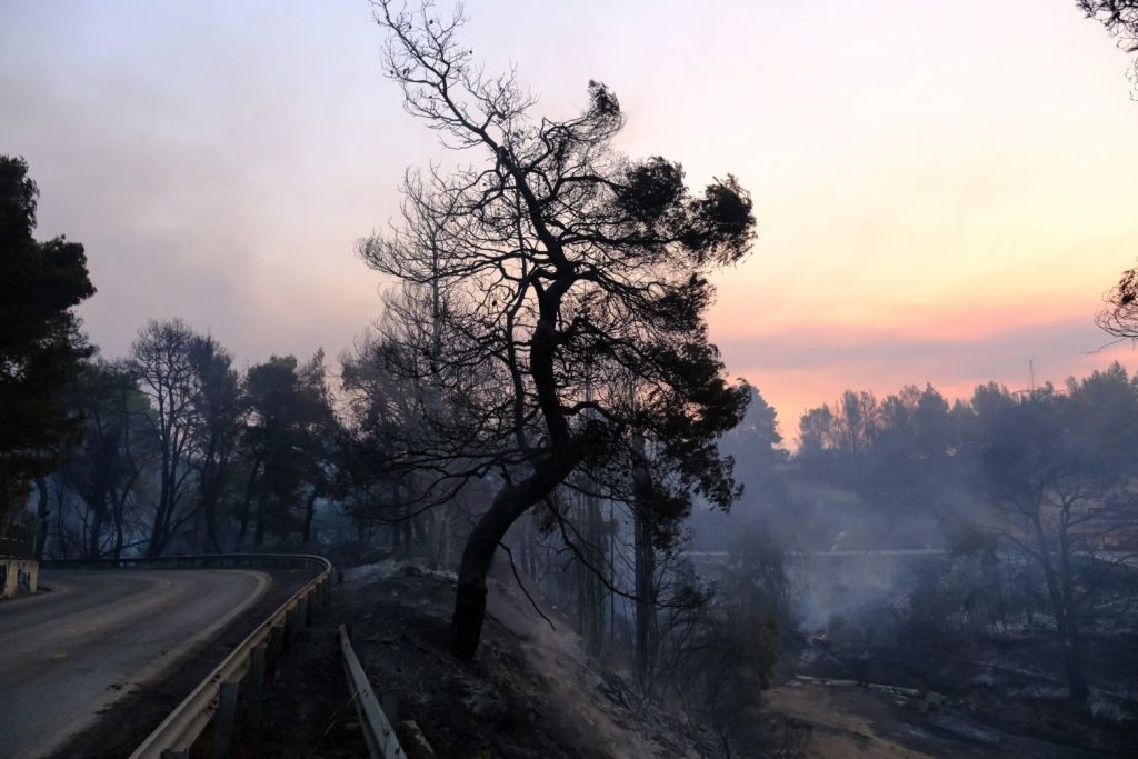 Φωτιά στη Βαρυμπόμπη – Αυτά είναι τα μέτρα στήριξης για τους πυρόπληκτους