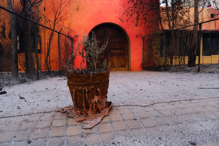 Η πολιτική για την καταστροφή