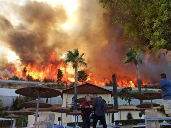 Ζερεφός – SOS για πολύ μεγάλες φωτιές μετά τον καύσωνα – «Επικίνδυνος ο Αύγουστος»