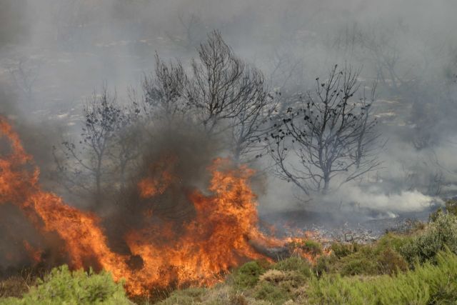 Χαλκιδική – Νέα εστία πυρκαγιάς στη Βουρβουρού