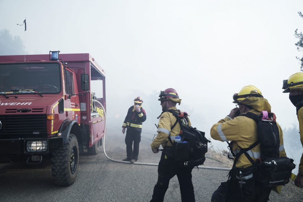 Μητσοτάκης – Ιδρύεται νέα Μονάδα Δασικών Επιχειρήσεων – Θα γίνουν 500 προσλήψεις