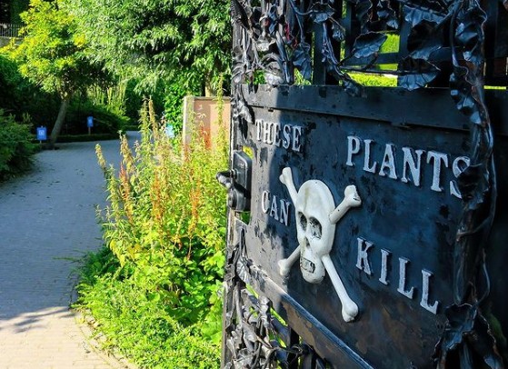 Εσύ θα έμπαινες στον «Κήπο του Θανάτου»; Αυτό είναι ένα από τα πιο επικίνδυνα μέρη του πλανήτη