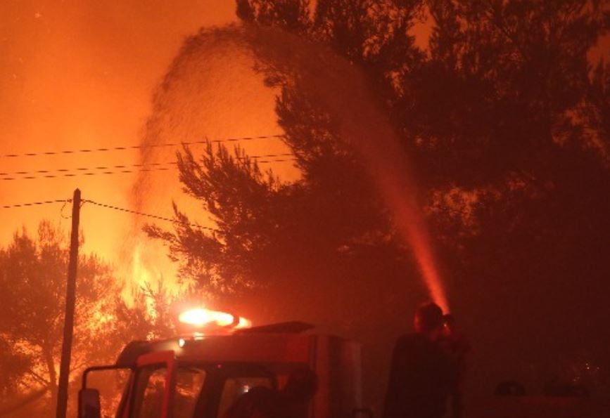 Κατρίνα Τσάνταλη – Καταστράφηκε από τη φωτιά το καταφύγιο ζώων στο Πολυδένδρι