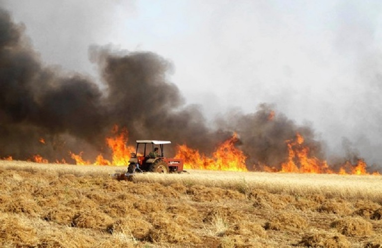 ΕΛΓΑ Τρίπολης –  Ξεκινούν οι δηλώσεις ζημιάς από τις πυρκαγιές