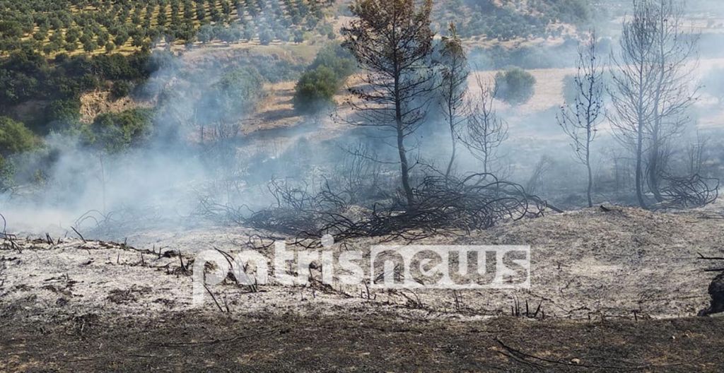 Φωτιά και στην Ηλεία – Τραυματίστηκε αστυνομικός που παρασύρθηκε από πυροσβεστικό όχημα